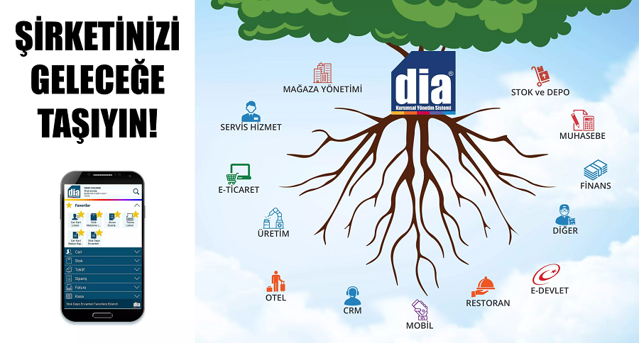 Online Bulut Tabanli Muhasebe Programi DİA